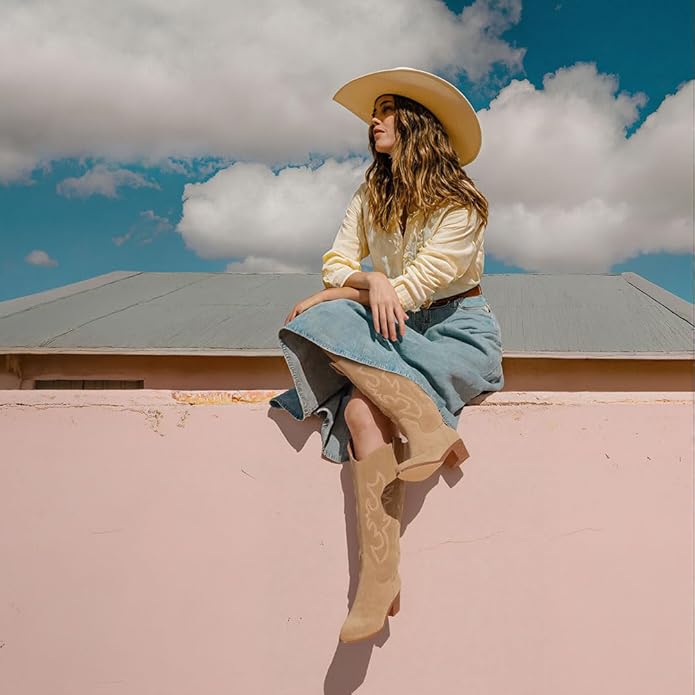 Snip Toe Western Boots Side Zipper and Chunky Heel Design Embroidery Cowboy Boots for Women