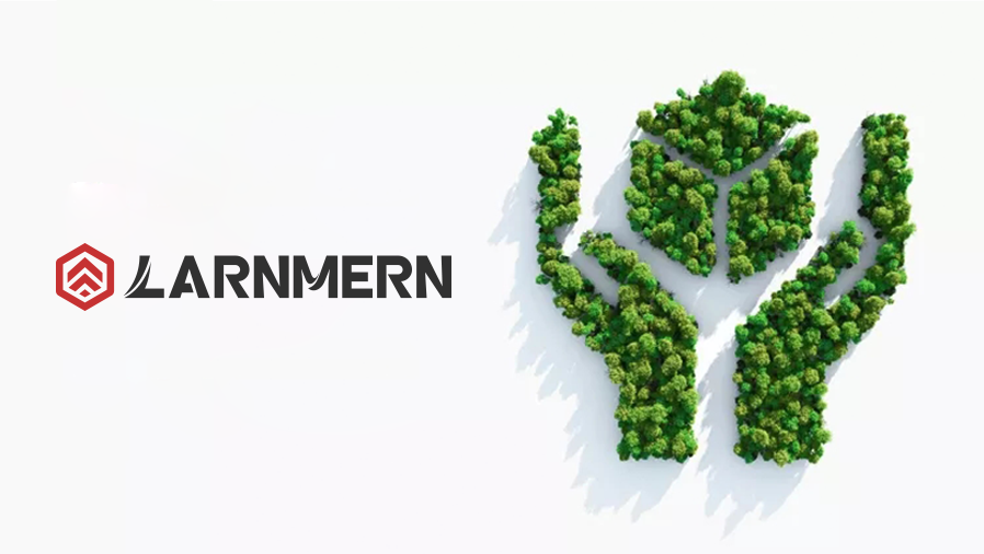 Larnmern Company