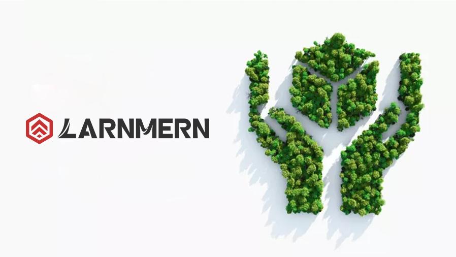 Larnmern company 2025