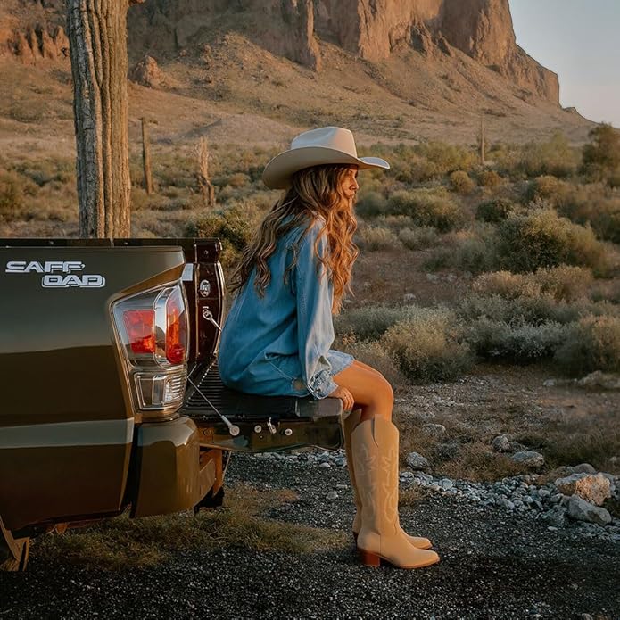 Snip Toe Western Boots Side Zipper and Chunky Heel Design Embroidery Cowboy Boots for Women